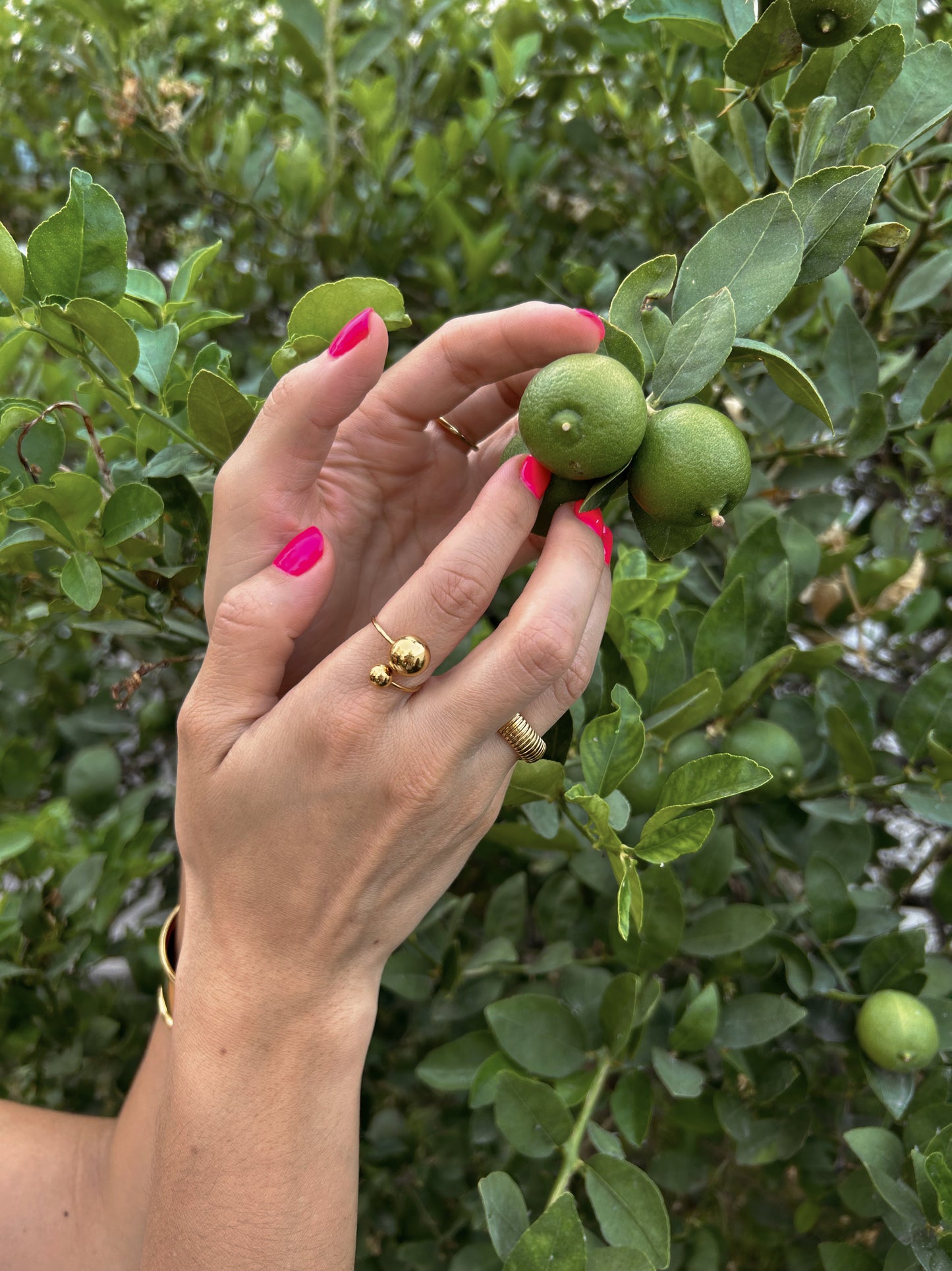 Anillo Priscila